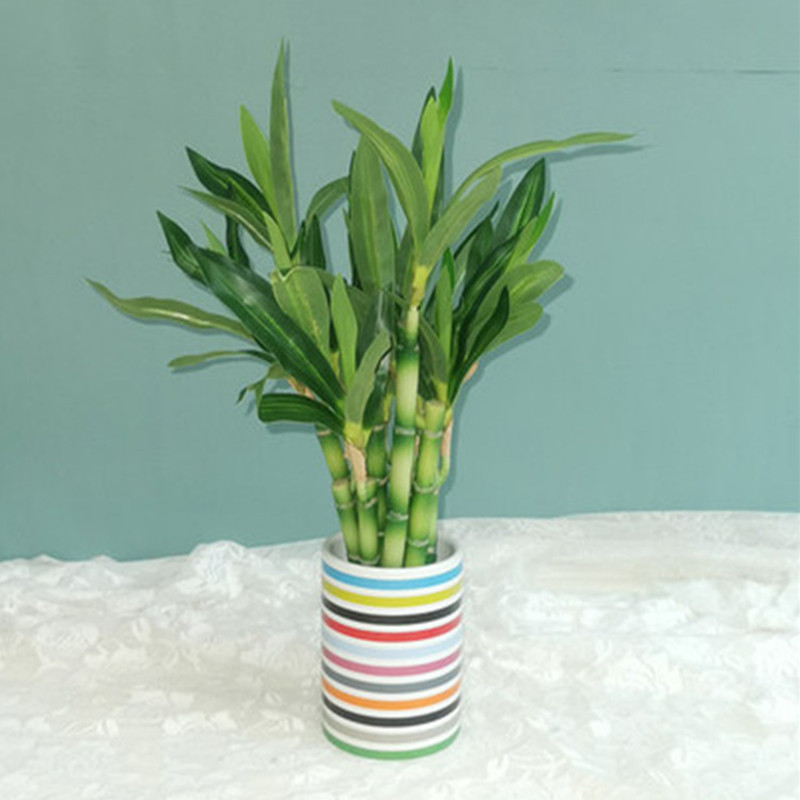 New 40cm rFtificial Lucky Bamb - Outdoor Furniture Green recension och pris